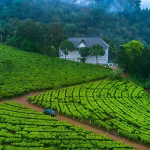 Tea Harvester Station touristique