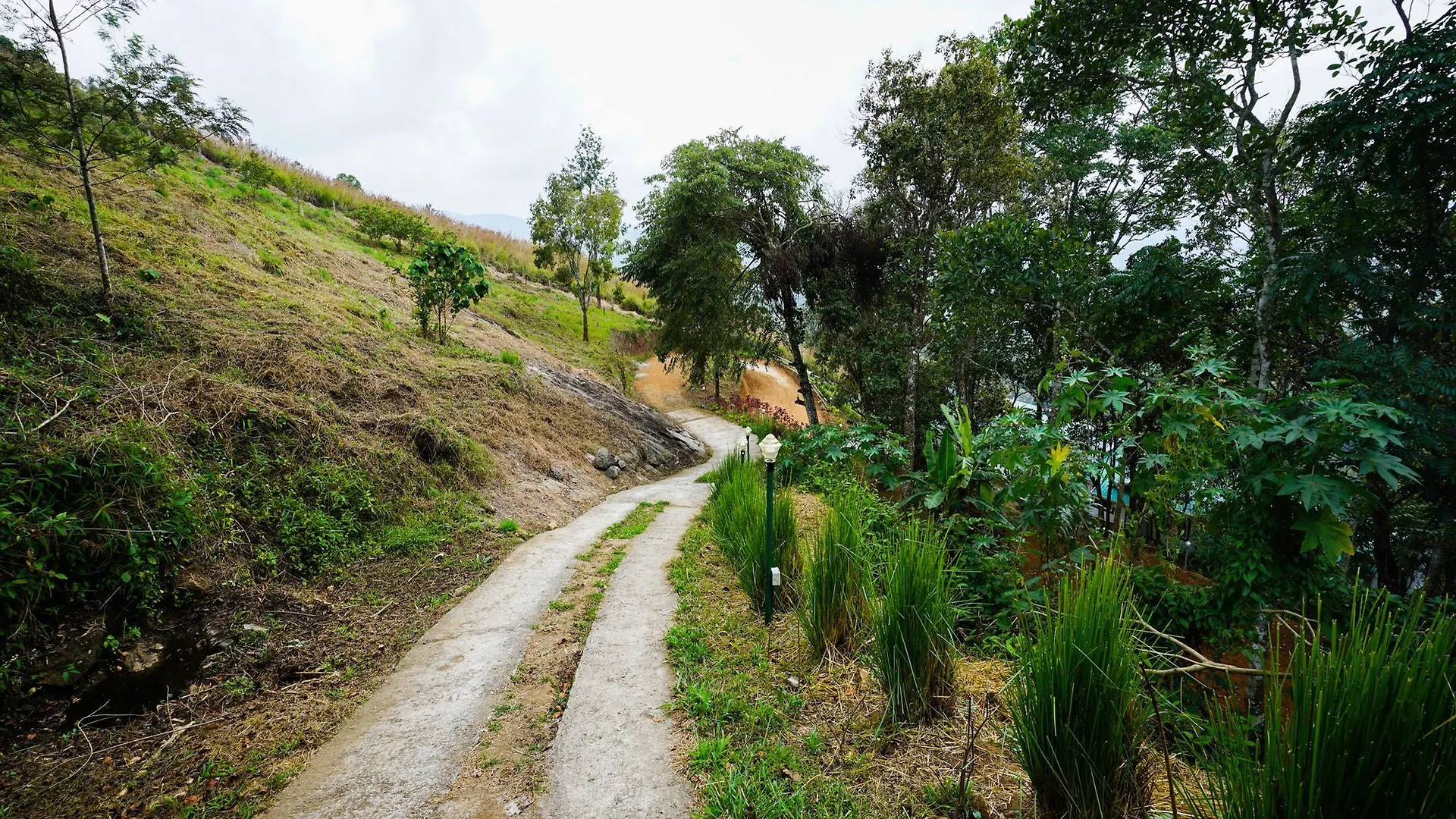 Oyo 10426 Le Placid Munnar